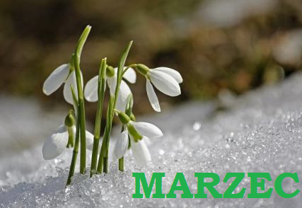 You are currently viewing Zamierzenia dydaktyczno-wychowawcze Marzec